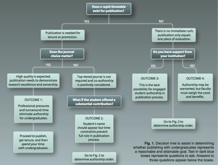 a decision tree to figure out how an undergrad is an author