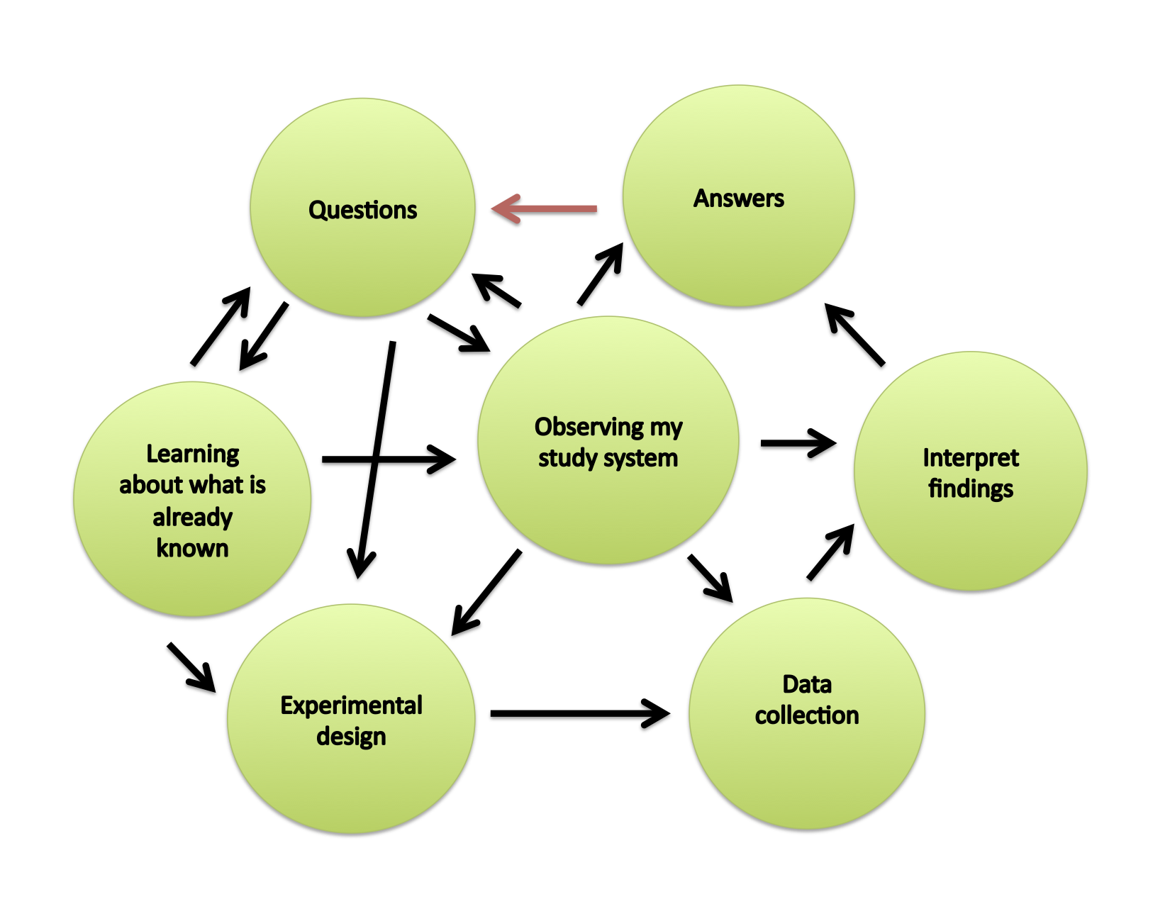 The Method of Science, as it happens in my lab