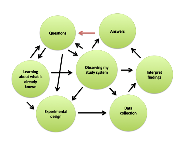 The Method of Science, as it happens in my lab