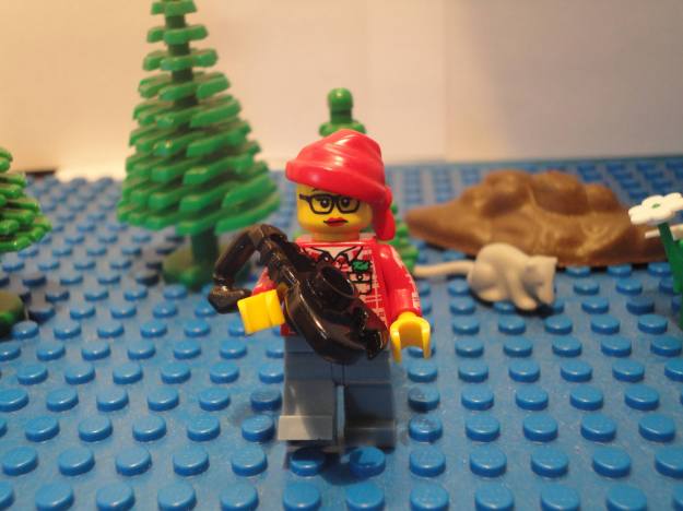 LEGO Arachnologist