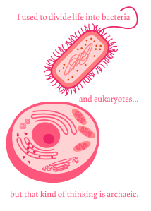 The gorgeous work of BuzzHootRoar!